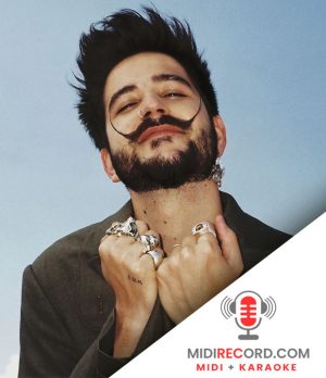 Midi Bebe